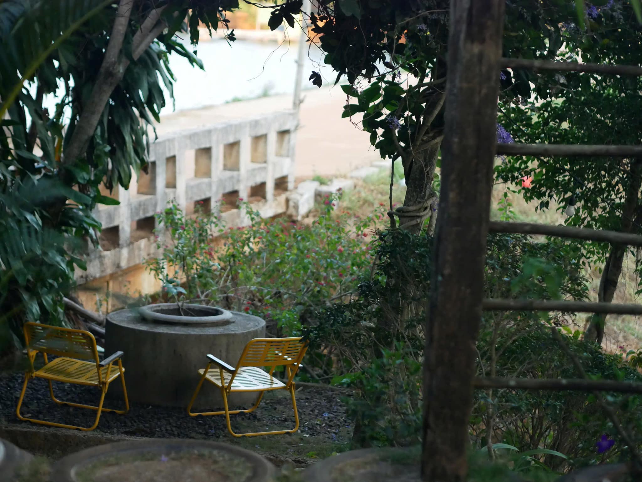 Ghế Vàng Thư Thái Dưới Bóng Cây Râm