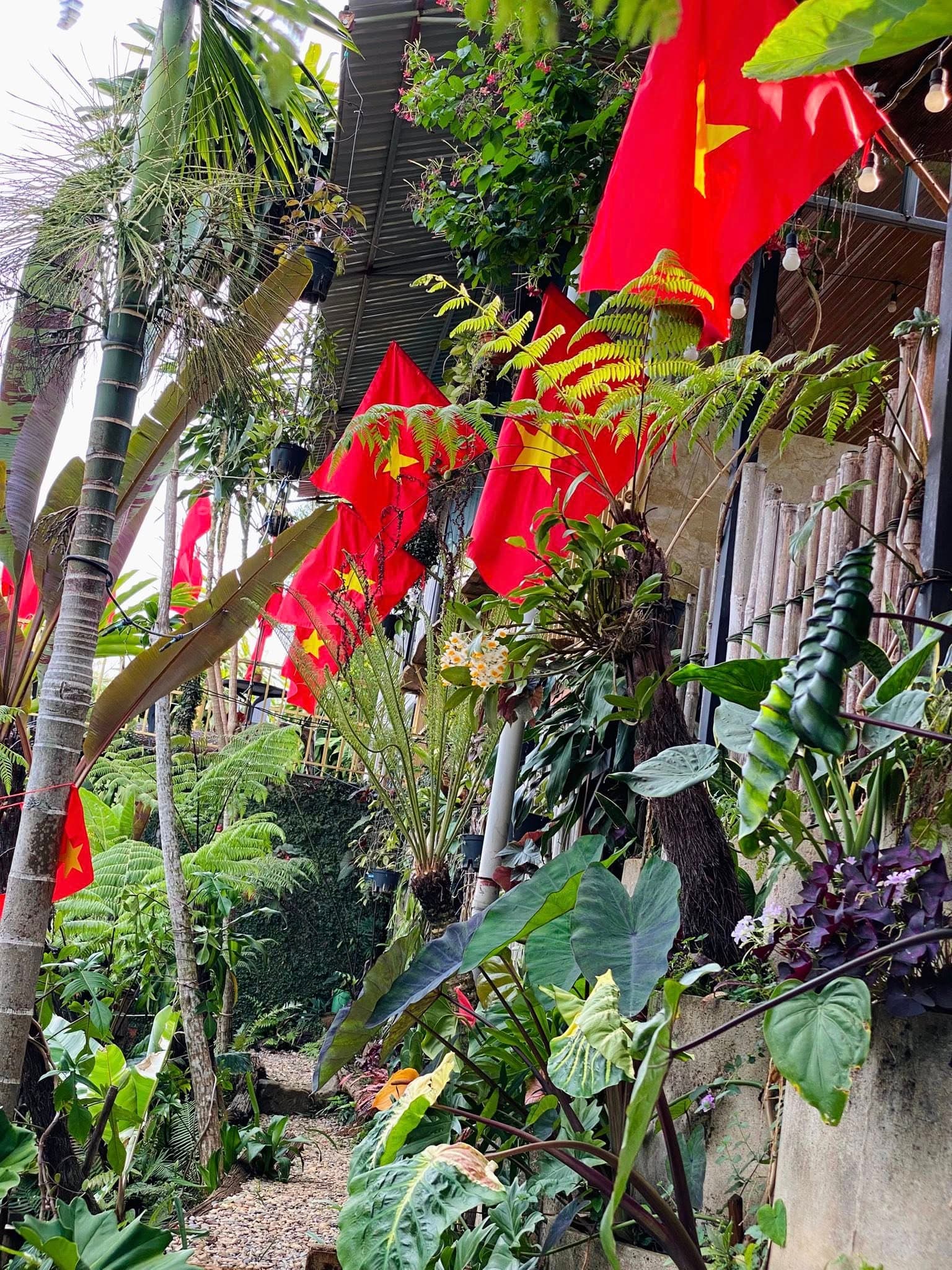 Hiên Lá Nhiệt Đới & Hàng Cờ Tổ Quốc